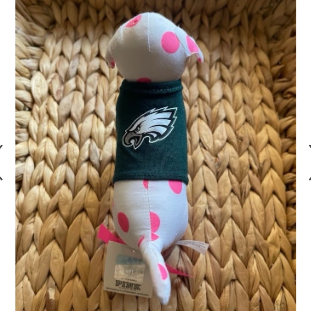 LOOKING FOR EAGLES VS PINK DOG